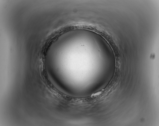 X0000099491493200805291055