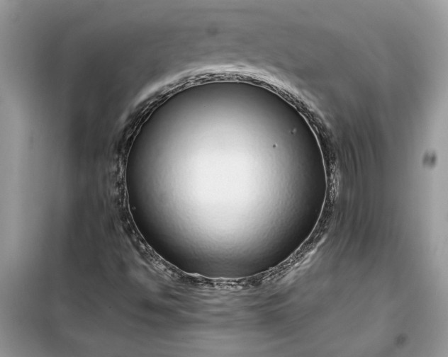 X0000099491494200805291055