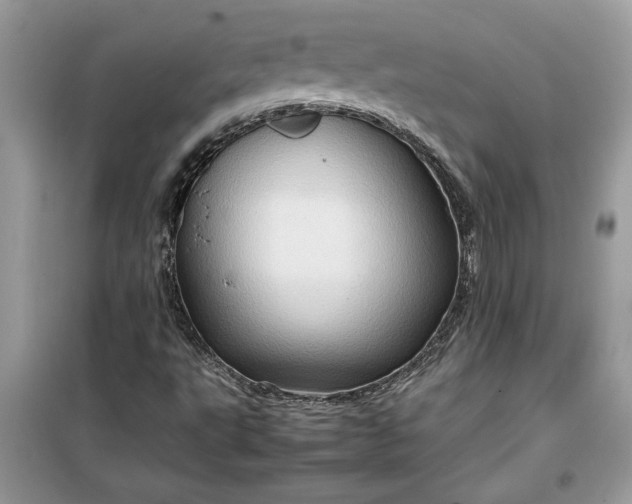 X0000099491495200805291055
