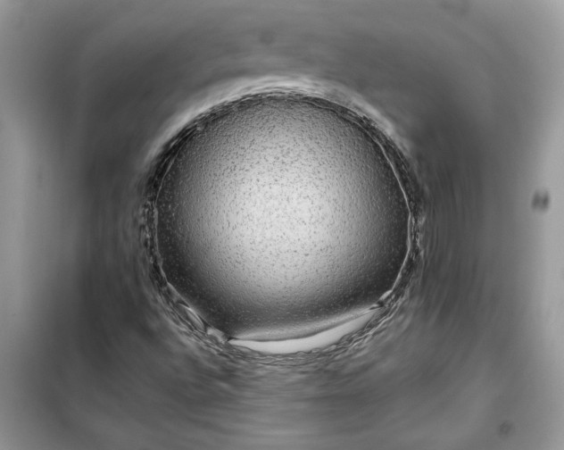 X0000099491496200805291055