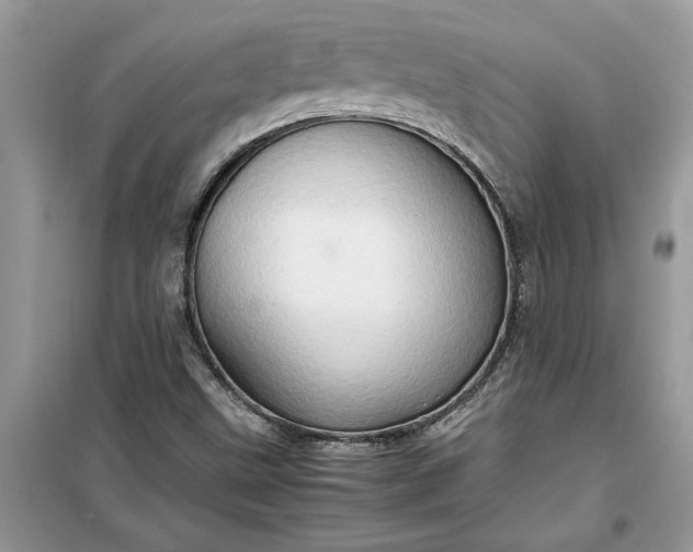 X0000099491499200805291055