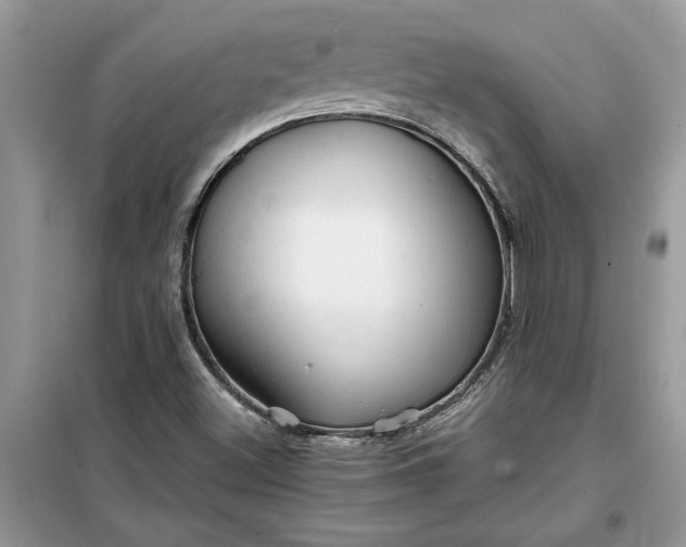 X0000099491500200805291055