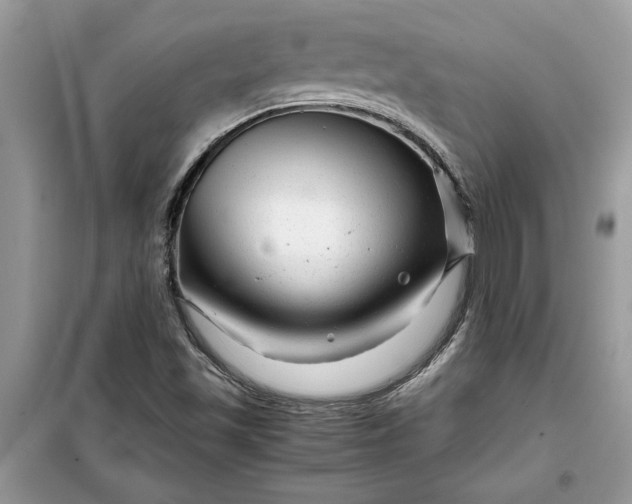 X0000099491501200805291055