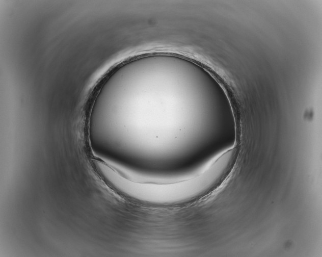 X0000099491502200805291055