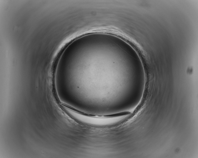 X0000099491506200805291055
