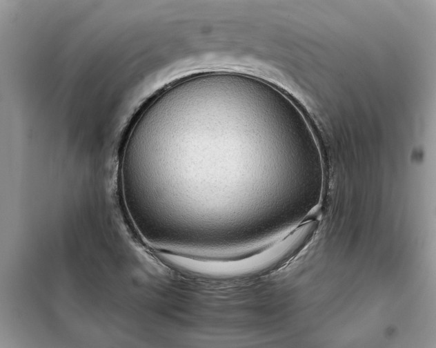 X0000099491507200805291055