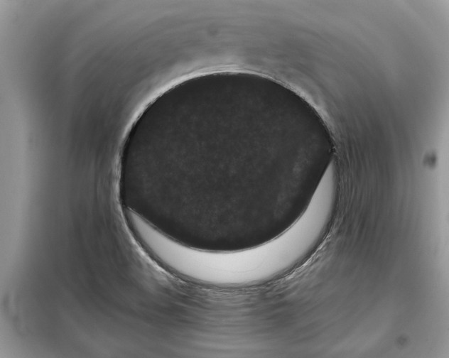X0000099491508200805291055