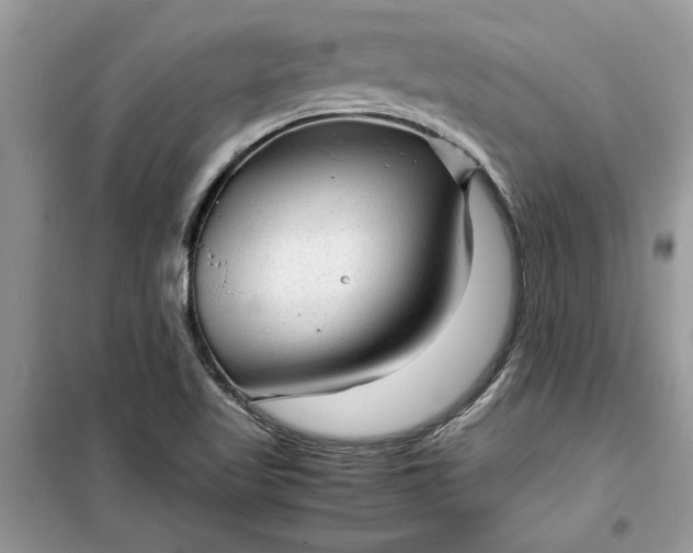 X0000099491509200805291055