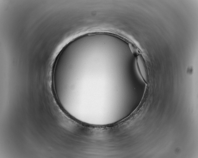 X0000099491512200805291055