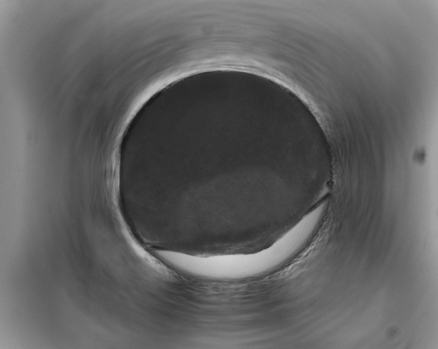 X0000099491515200805291055