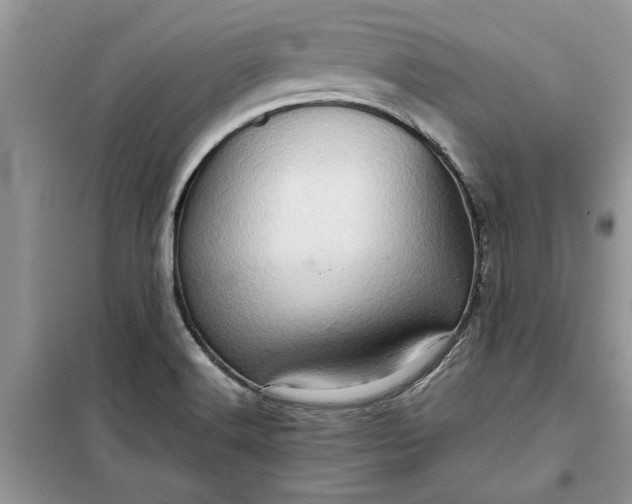 X0000099491516200805291055