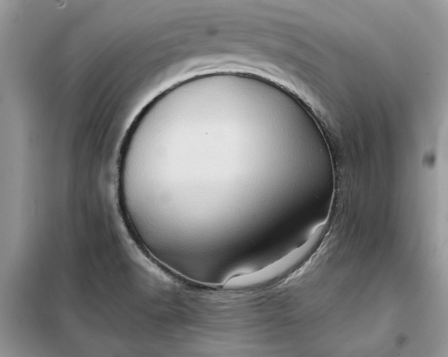 X0000099491518200805291055