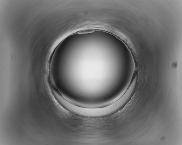 X0000099491520200805291055