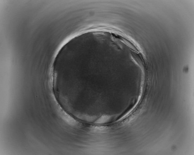 X0000099491522200805291056
