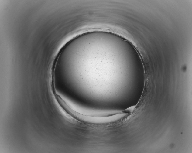 X0000099491523200805291056