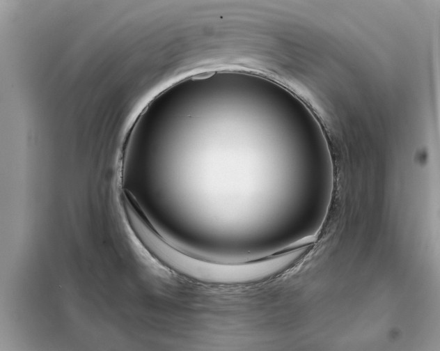 X0000099491524200805291056