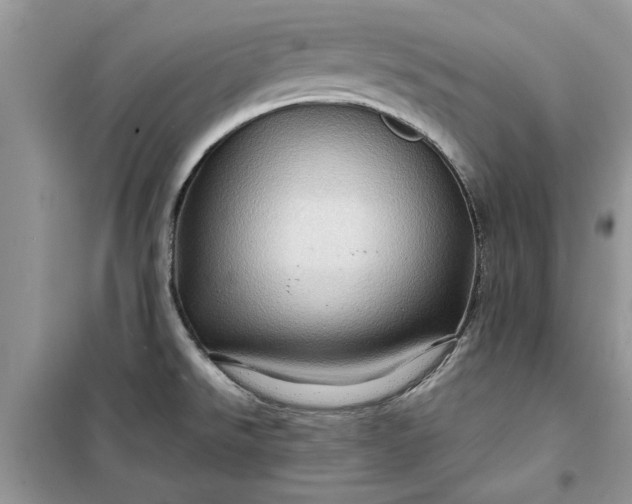 X0000099491526200805291056
