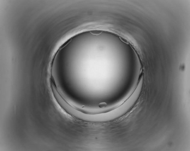 X0000099491528200805291056