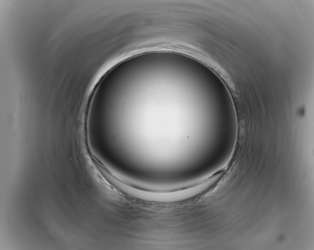 X0000099491530200805291056