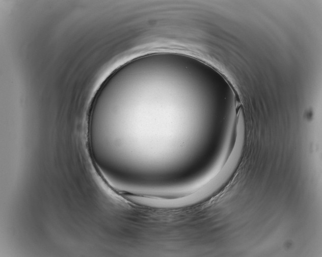 X0000099491531200805291056