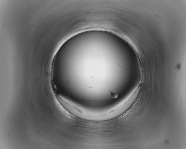 X0000099491532200805291056