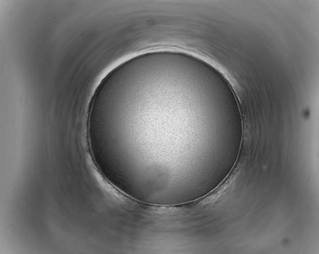 X0000099491534200805291056