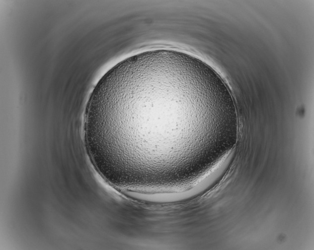 X0000099491535200805291056