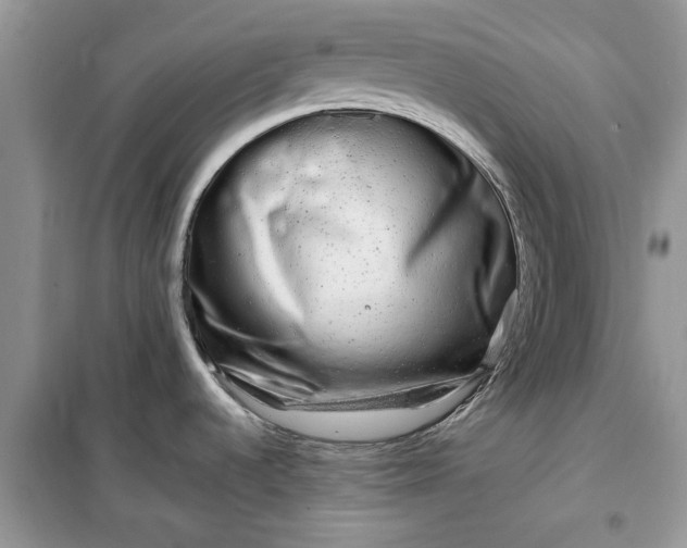X0000099491536200805291056