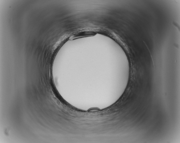 X0000099490011200806051109