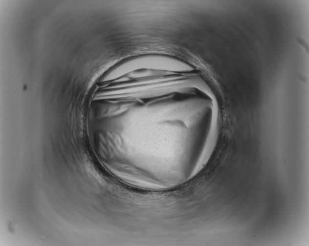 X0000099490012200806051109