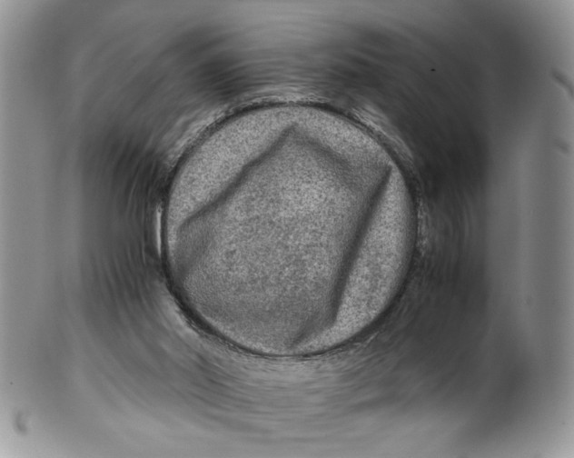 X0000099490014200806051109