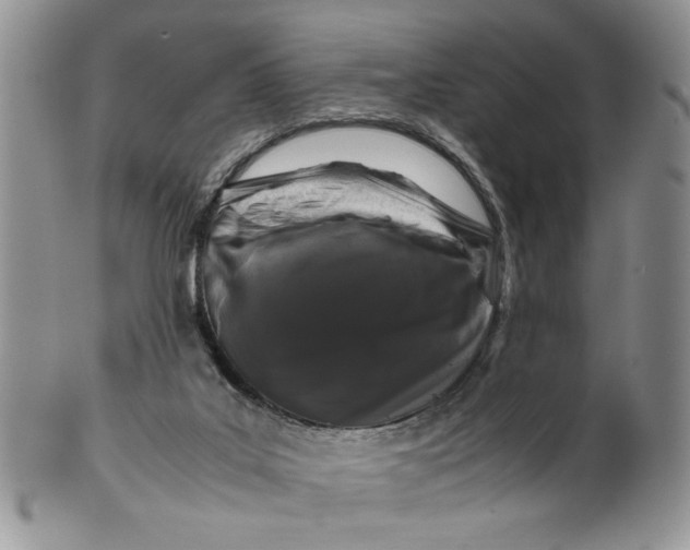 X0000099490019200806051109