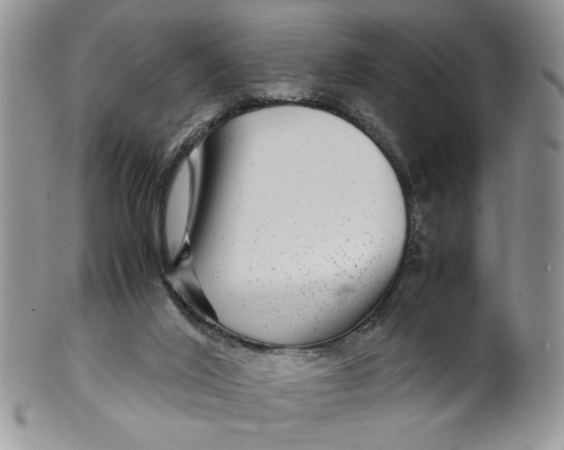 X0000099490020200806051109