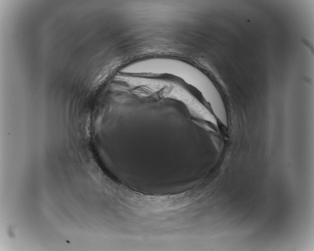 X0000099490023200806051109