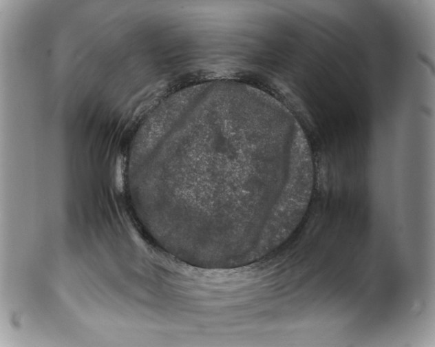 X0000099490026200806051109