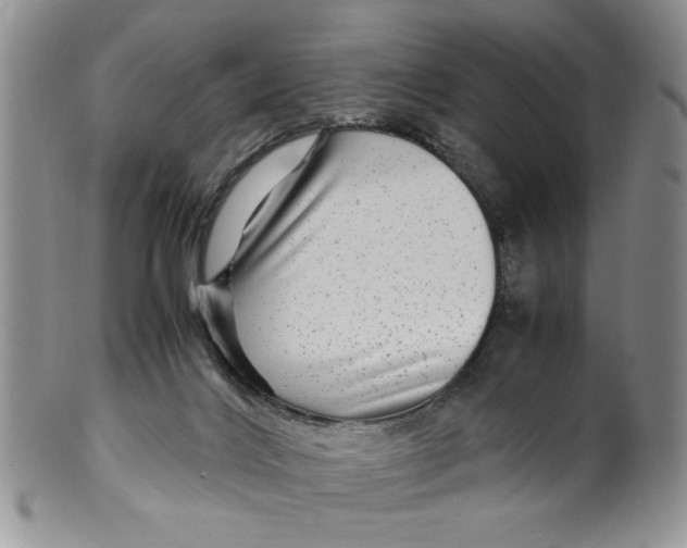 X0000099490028200806051109