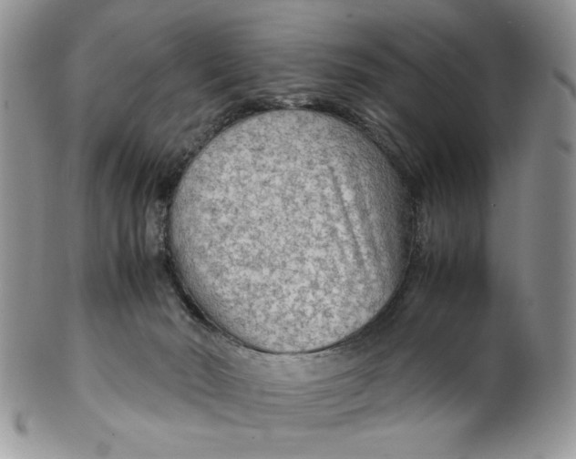 X0000099490030200806051109