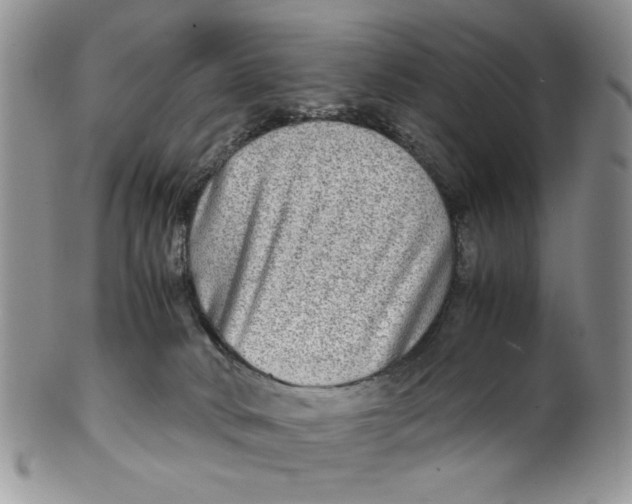 X0000099490034200806051109