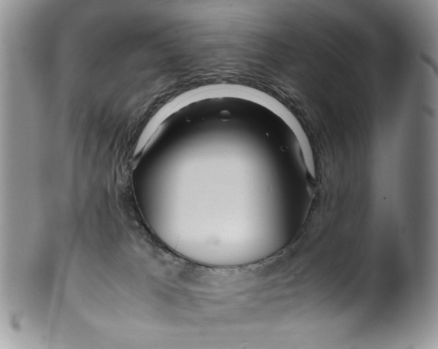 X0000099490037200806051109