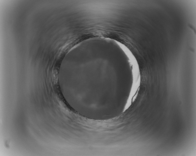 X0000099490043200806051109