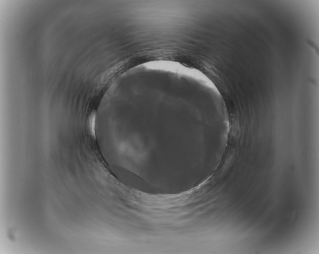 X0000099490047200806051109