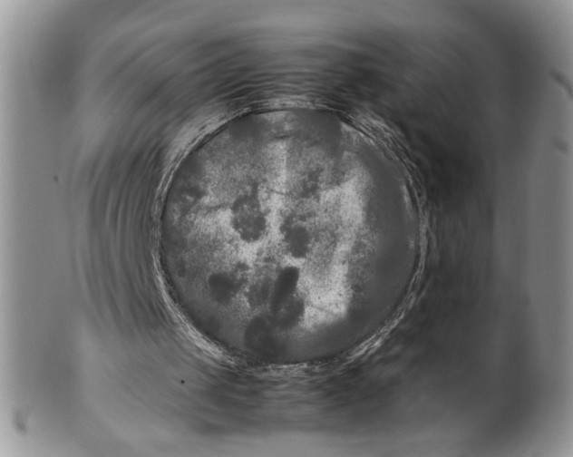 X0000099490049200806051108