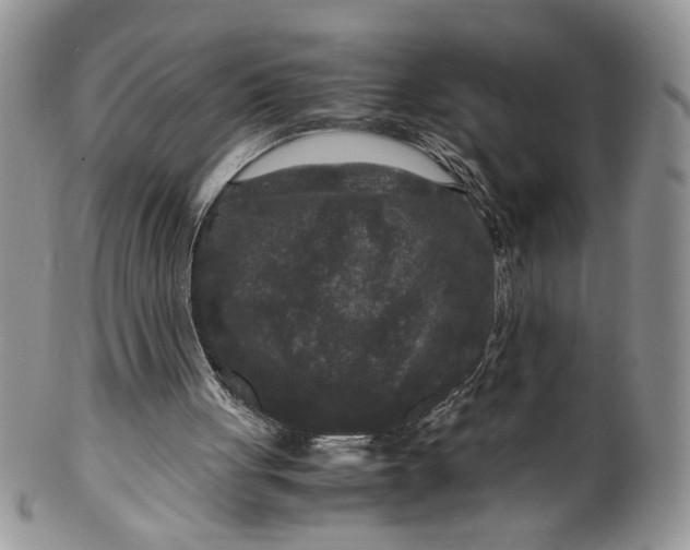 X0000099490051200806051108