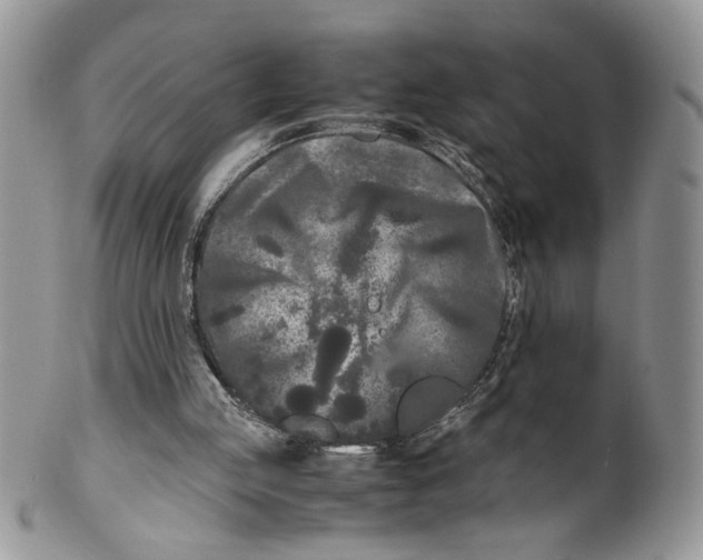 X0000099490053200806051108