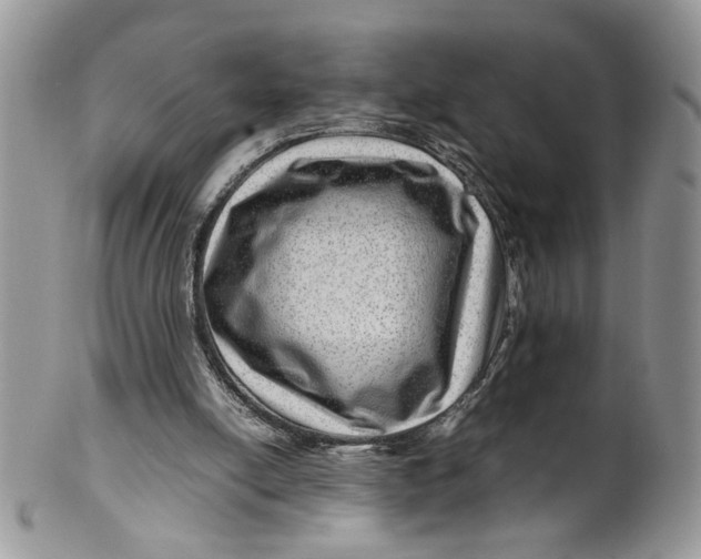 X0000099490054200806051108