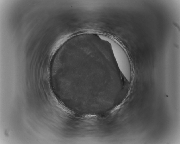 X0000099490055200806051108