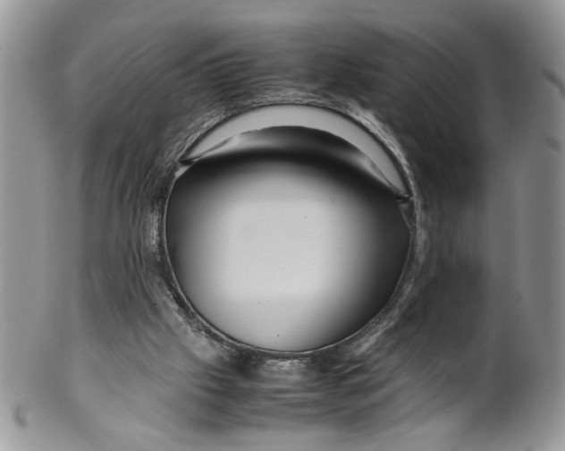 X0000099490057200806051108