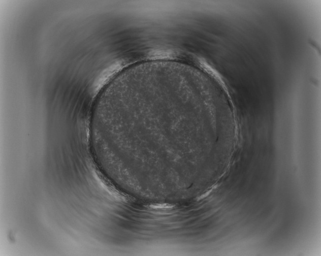 X0000099490059200806051108