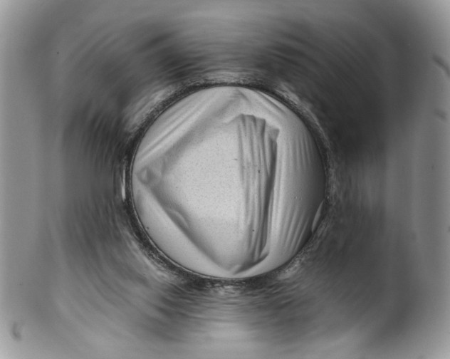 X0000099490062200806051108