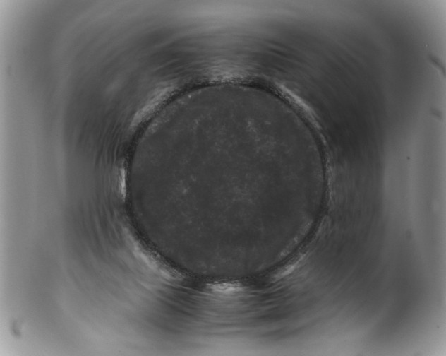 X0000099490067200806051108